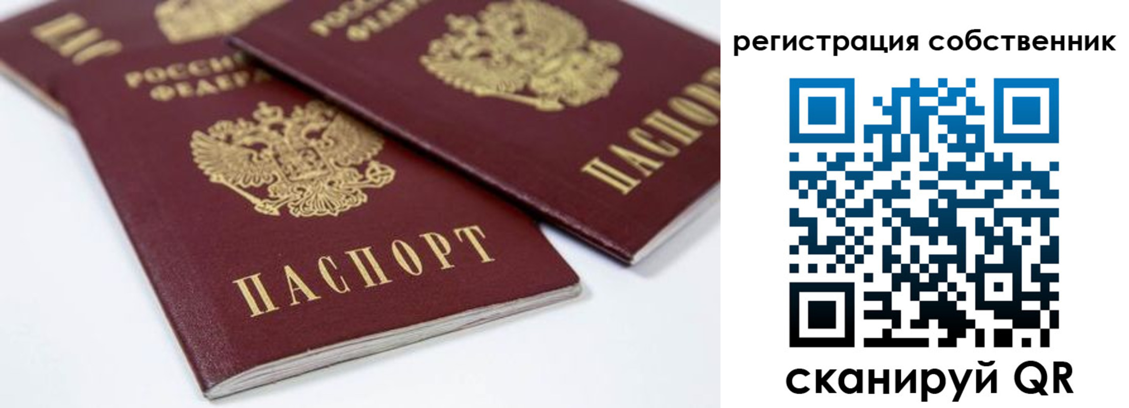 прописка для школы в Барыше